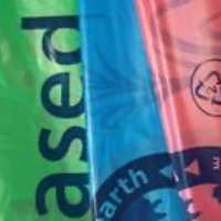 Bio-Based--26x44--Carbon-Negative-Green-Tint