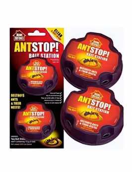 Two Part Ant Treatment  Follow Up 